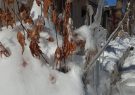 یخبندان و برف در راه آذربایجان شرقی است