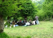 گردشگران آذربایجان‌شرقی ضوابط زیست محیطی را رعایت کنند