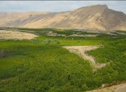 واگذاری ۳۹۵ هکتار اراضی کشاورزی در آذربایجان شرقی