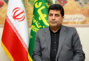 خرید بیش از ۴۹۵ هزار تن گندم در آذربایجان شرقی