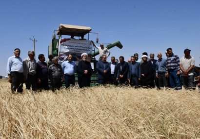 وجود ۲۶ هزار هکتار اراضی قابل کشت در شهرستان تبریز