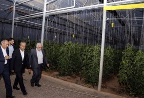 بررسی مشکل تسهیلات بانکی واحد گلخانه ای هریس در کارگروه تسهیل و رفع موانع تولید استان