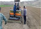 آغاز کشت کلزا در شهرستان ورزقان