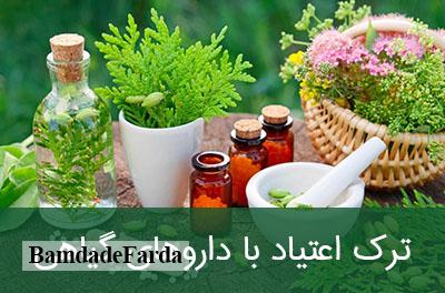 کشف انبار داروهای گیاهی غیرمجاز ترک اعتیاد در تبریز