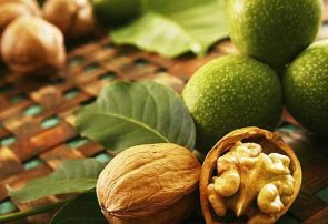 افزایش ۲۲ درصدی تولید گردو در آذربایجان شرقی