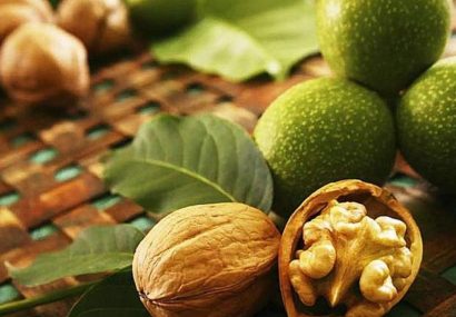 افزایش ۲۲ درصدی تولید گردو در آذربایجان شرقی