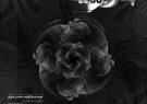 اجرای نمایش «اکوئوس» در تئاتر شهر