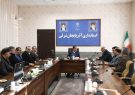 ۶۰ میلیون قطعه جوجه ریزی در آذربایجان شرقی در سال جاری