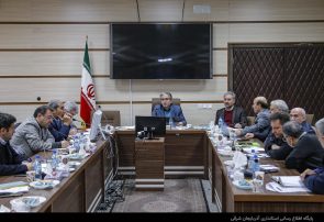 رنج و دغدغه اصلی بیماران خاص، نحوه‌ی توزیع داروهای خاص است تا کمبود دارو