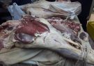 مدیر فروشگاه عرضه گوشت در مراغه زندانی شد