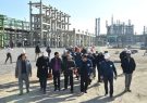 دبیری: دولت با تمام توان در کنار صنعت است