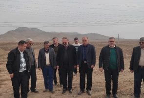 کشت ۳۹۱ هکتار گندم آبی و آغاز کشت باغات در ۱۱۰۰ هکتار دشت یکانات