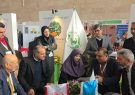 رئیس سازمان حفاظت محیط زیست ایران پای درد دل NGO,S آذربایجان شرقی نشست