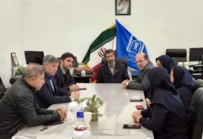 پتانسیل‌های مهارت‌آموزی برای بیماران روانی و جذامی در بیمارستان باباباغی تبریز