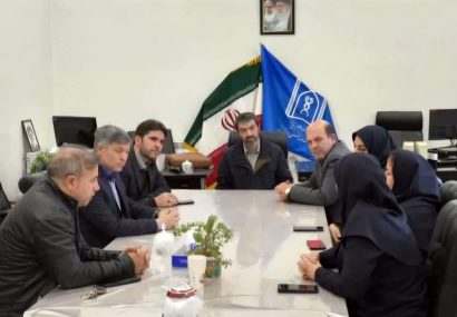 پتانسیل‌های مهارت‌آموزی برای بیماران روانی و جذامی در بیمارستان باباباغی تبریز