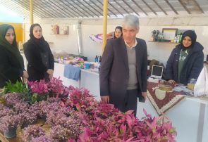 پرداخت ۴۲ میلیاردریال تسهیلات برای حمایت از توسعه فعالیتهای کشاورزی زنان روستایی شهرستان تبریز