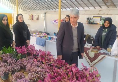 پرداخت ۴۲ میلیاردریال تسهیلات برای حمایت از توسعه فعالیتهای کشاورزی زنان روستایی شهرستان تبریز