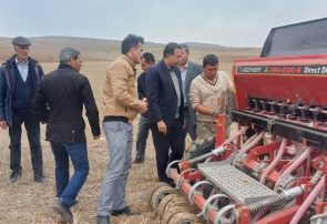 آذربایجان‌شرقی، رتبه نخست توسعه کشت علوفه‌ای در کشور