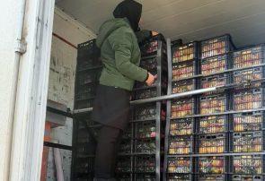 صادرات ۶۰ هزار تن محصولات کشاورزی از شهرستان جلفا در ۹ ماهه نخست سال ۱۴۰۳