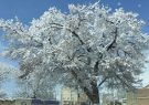 خواجه در آذربایجان‌شرقی دومین شهر سرد کشور شد
