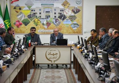 سنددار شدن۶۰۰ هزار هکتار از اراضی کشاورزی استان آذربایجان شرقی  افزایش بهره وری با تعامل بخش دولتی و خصوصی
