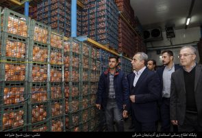 میوه شب عید به میزان کافی ذخیره شده و با قیمت مناسب عرضه می‌شود