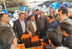 صدور دستور پلمب ۲ واحد متخلف در نظارت ویژه نوروزی دادستان مرکز آذربایجان شرقی از میدان تره بار تبریز