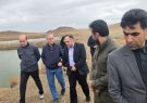 پیگیرتکمیل طرح پرورش آرتمیا بعنوان بزرگترین مرکز پرورش جلبک کشورهستیم