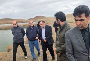 پیگیرتکمیل طرح پرورش آرتمیا بعنوان بزرگترین مرکز پرورش جلبک کشورهستیم