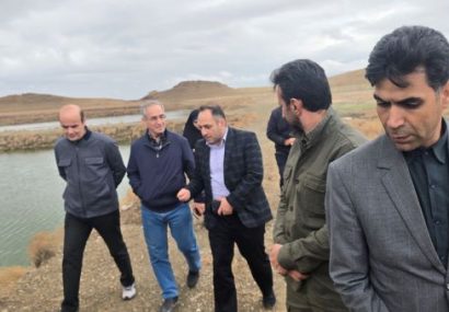 پیگیرتکمیل طرح پرورش آرتمیا بعنوان بزرگترین مرکز پرورش جلبک کشورهستیم