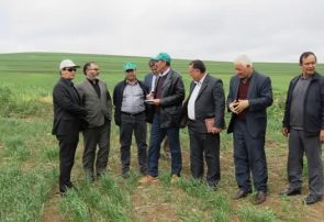 پایگاه‌های نوآوری کانون اصلی توانمندسازی بهره‌برداران