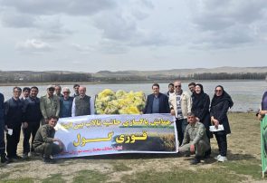 قوری گول به استقبال روز زمین پاک رفت