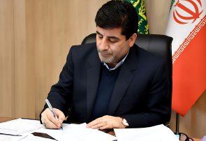 معاون وزیر: بخش کشاورزی باید به سمت سودآوری و بهره وری حرکت کند