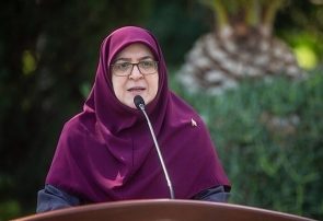 مهاجرانی افزایش ۴۰ درصدی قیمت بنزین را تکذیب کرد