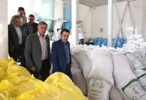 نظارت میدانی بر روند خرید تضمینی گندم در آذربایجان شرقی