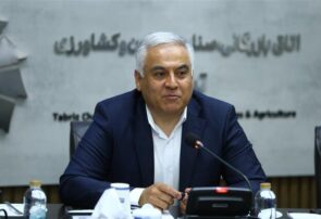 ۳ نرخی بودن قیمت آرد، بستر قاچاق و فساد را فراهم کرده است