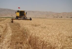 نوسازی ناوگان برداشت غلات، راه‌حلی برای کاهش ضایعات