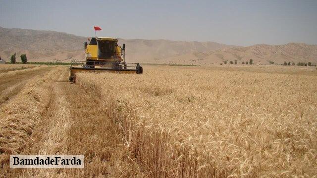 نوسازی ناوگان برداشت غلات، راه‌حلی برای کاهش ضایعات